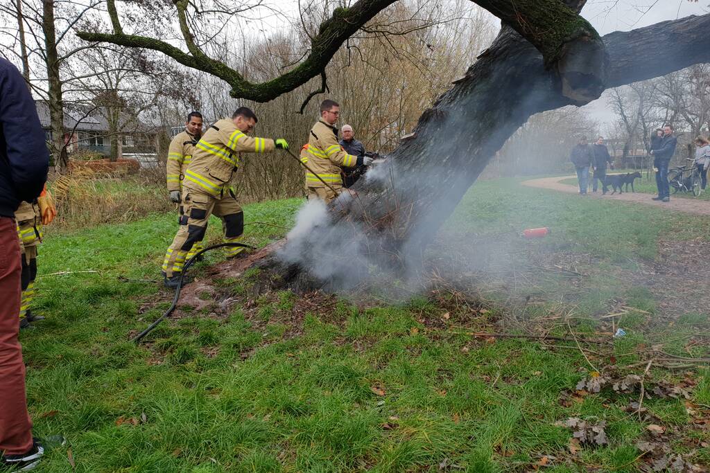 Klimboom in brand gestoken
