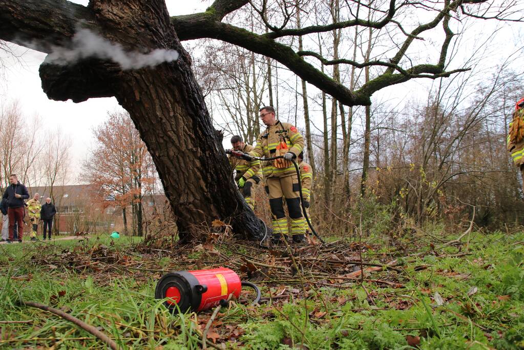 Klimboom in brand gestoken