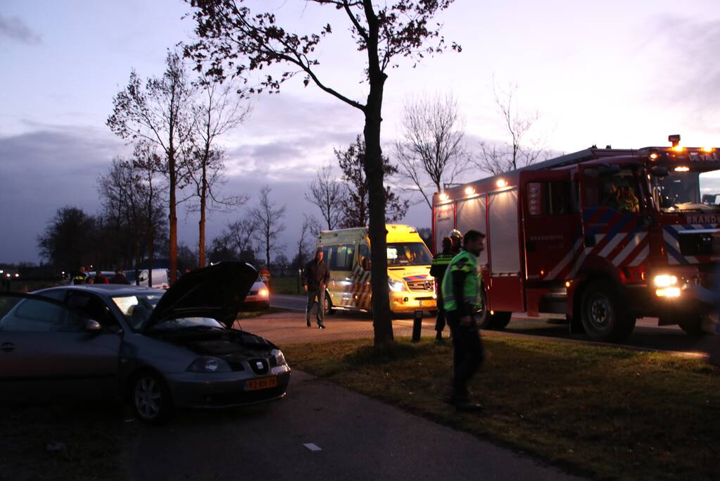 Bestuurster botst op boom en raakt gewond