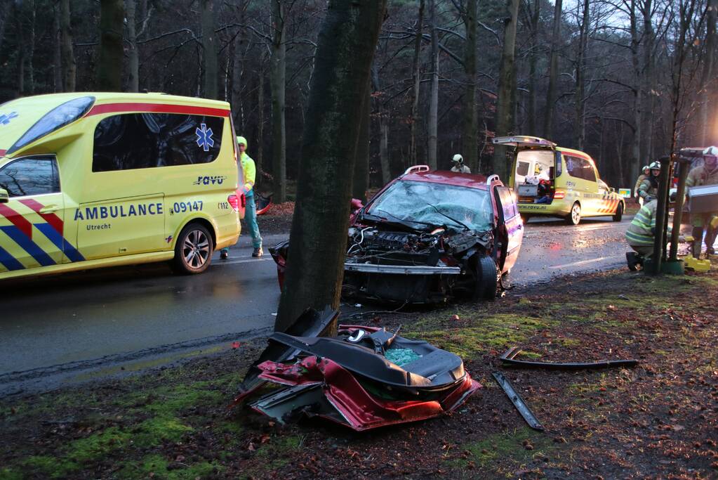 Auto raakt van de weg en botst frontaal op boom