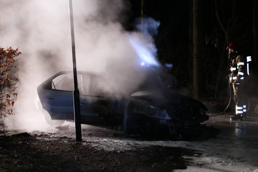 Auto fikt uit op vakantiepark De Eemhof
