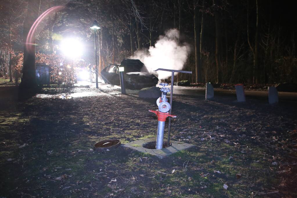 Auto fikt uit op vakantiepark De Eemhof