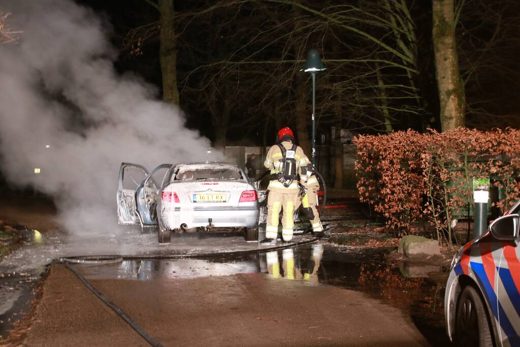 Auto fikt uit op vakantiepark De Eemhof