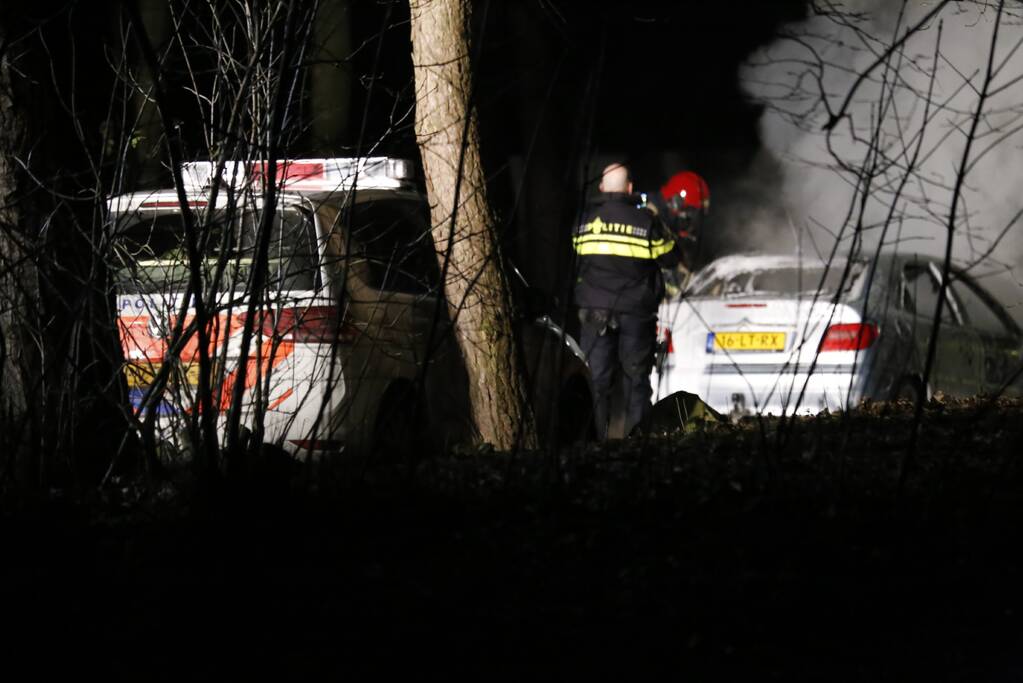 Auto fikt uit op vakantiepark De Eemhof