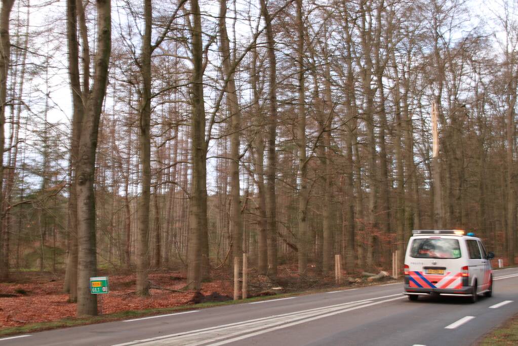 Verkeershinder door afgebroken stuk boom