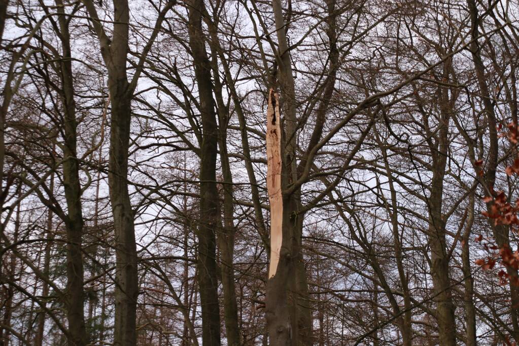 Verkeershinder door afgebroken stuk boom