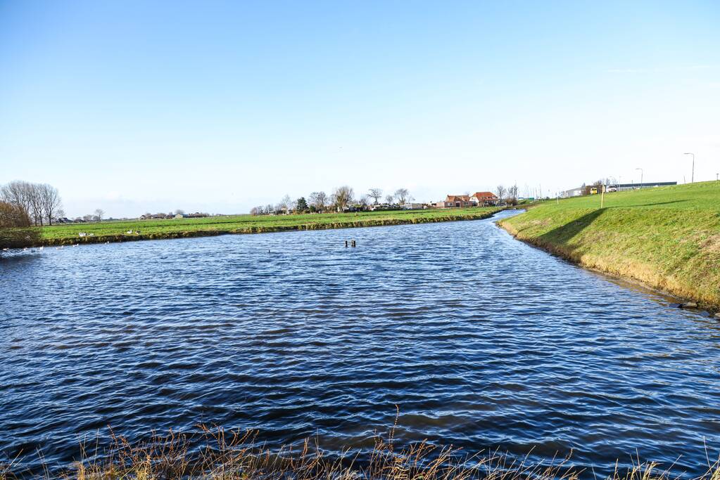 30 dode karpers uit vervuilde vijver gehaald gehaald