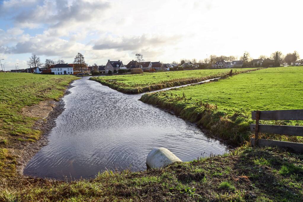 30 dode karpers uit vervuilde vijver gehaald gehaald