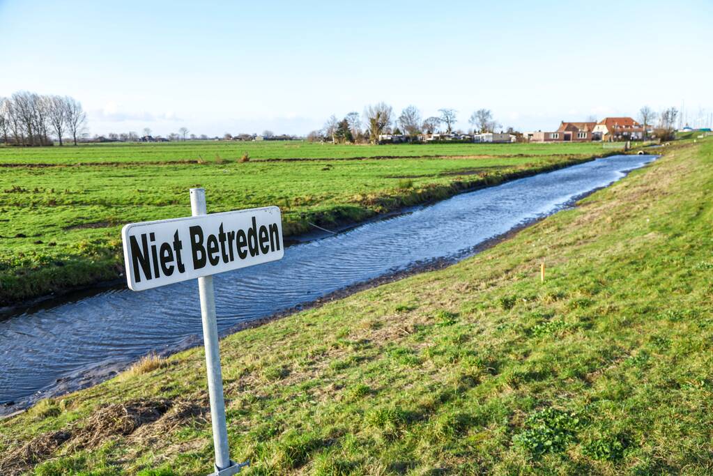 30 dode karpers uit vervuilde vijver gehaald gehaald