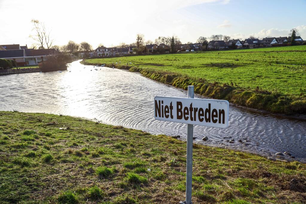 30 dode karpers uit vervuilde vijver gehaald gehaald