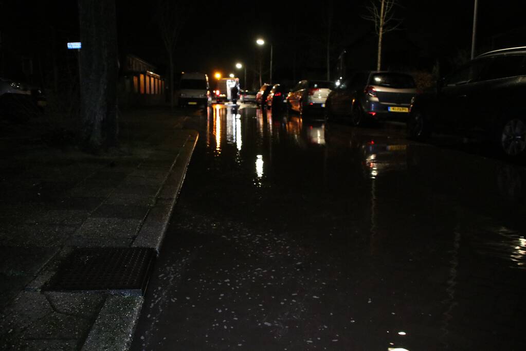 Krantenbezorger valt in sinkhole