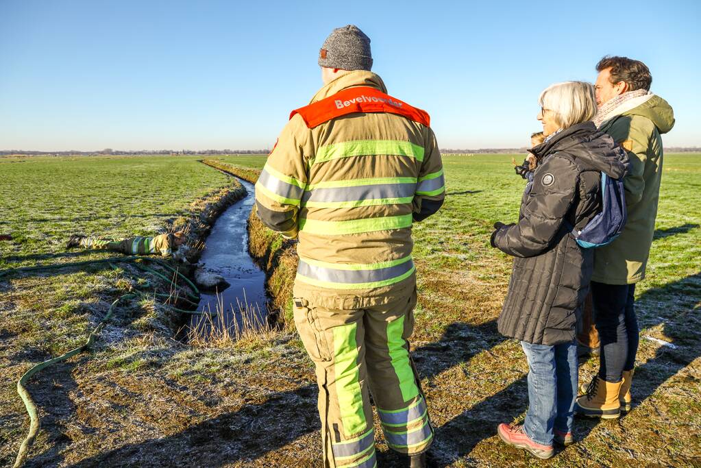 Wandelaars vinden bevroren schaap in sloot