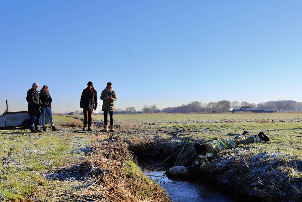 Wandelaars vinden bevroren schaap in sloot