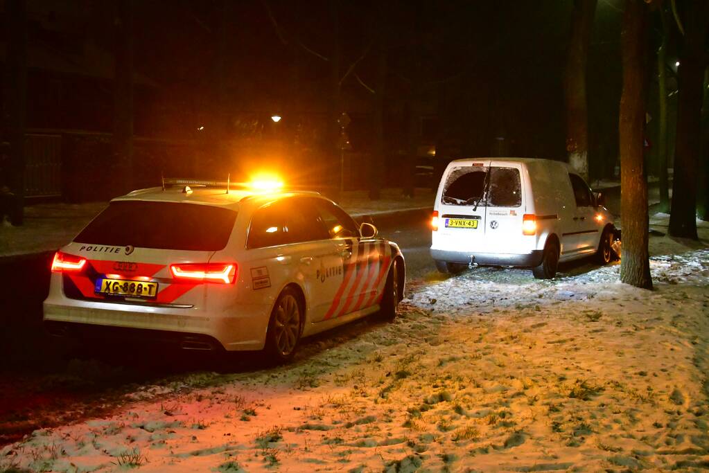 Bestelauto knalt op boom