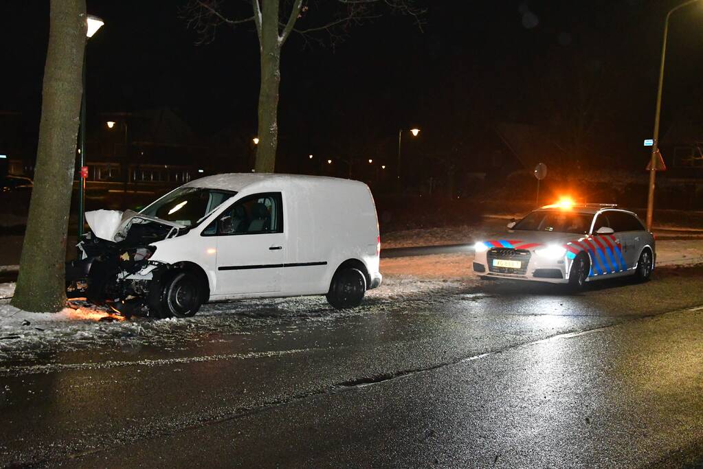 Bestelauto knalt op boom