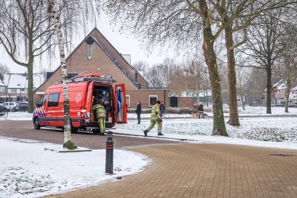 Meeuw vast in het ijs (Bunschoten-Spakenburg)