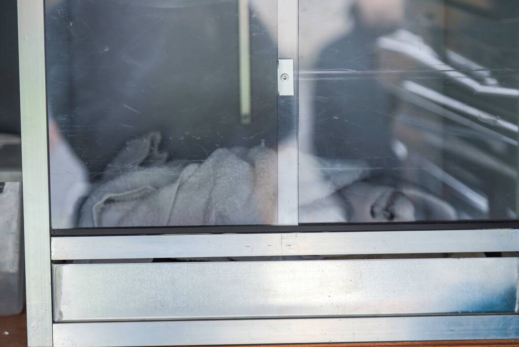 Meeuw vast in het ijs (Bunschoten-Spakenburg)