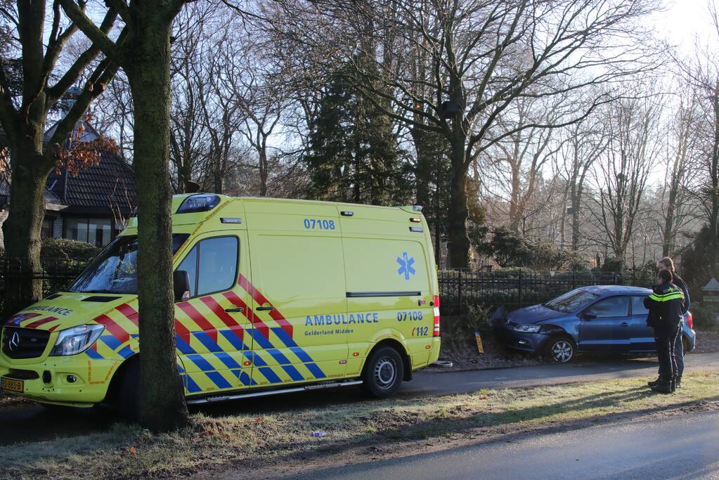 Auto ramt tuinhek na slippartij (Kootwijkerbroek)