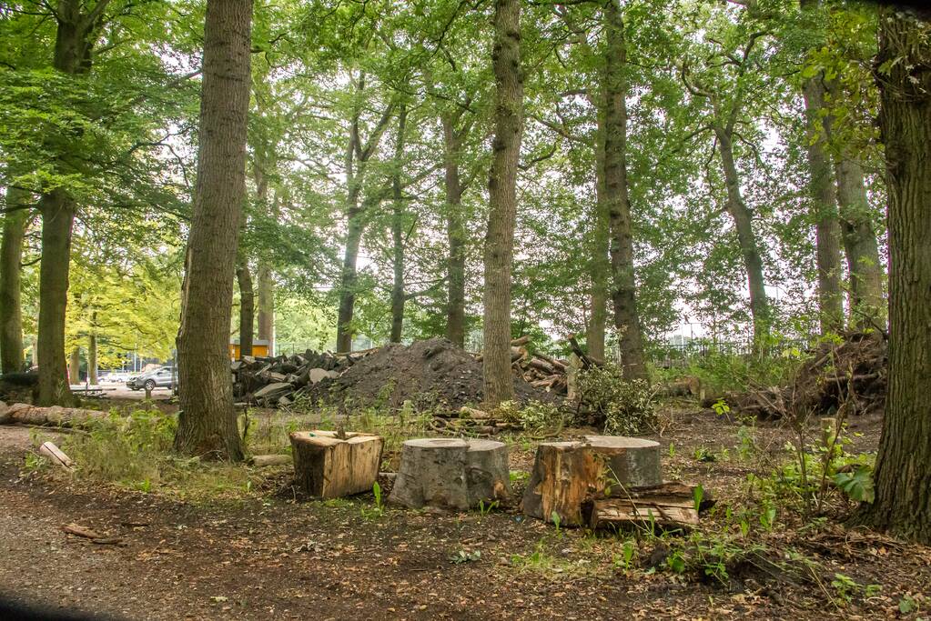 Bomenkap westelijke rondweg mag toch niet van start gaan