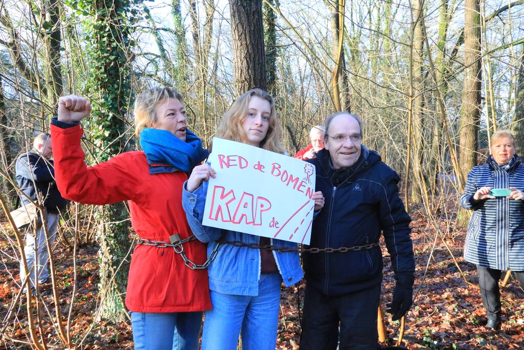 Bomenkap moment van de waarheid