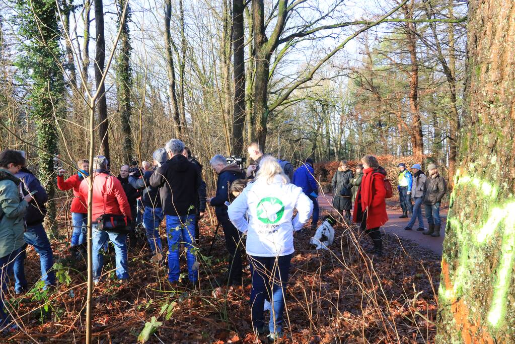 Bomenkap moment van de waarheid