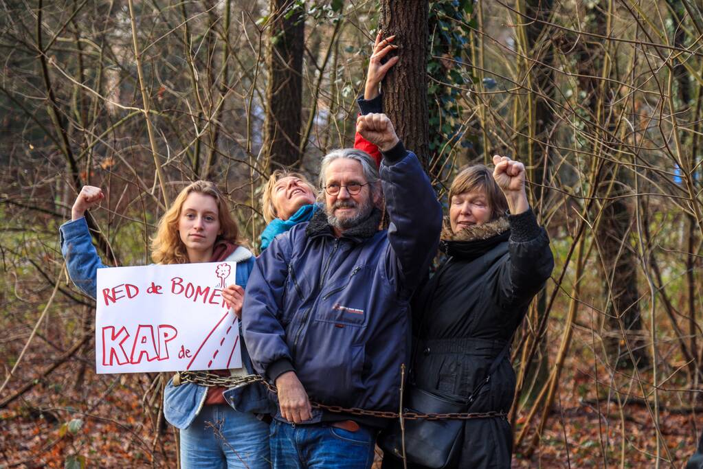 Bomenkap moment van de waarheid