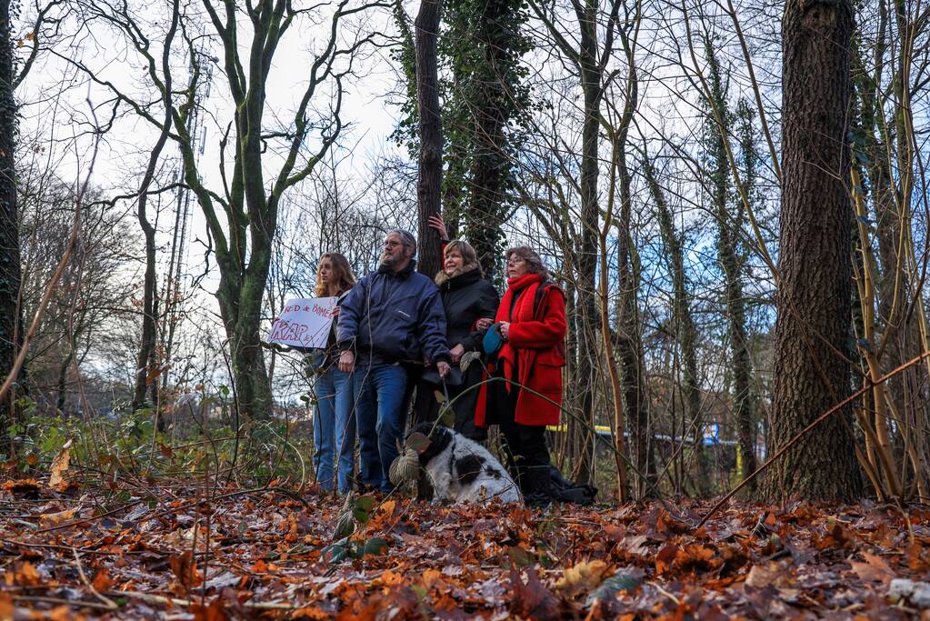 Bomenkap moment van de waarheid