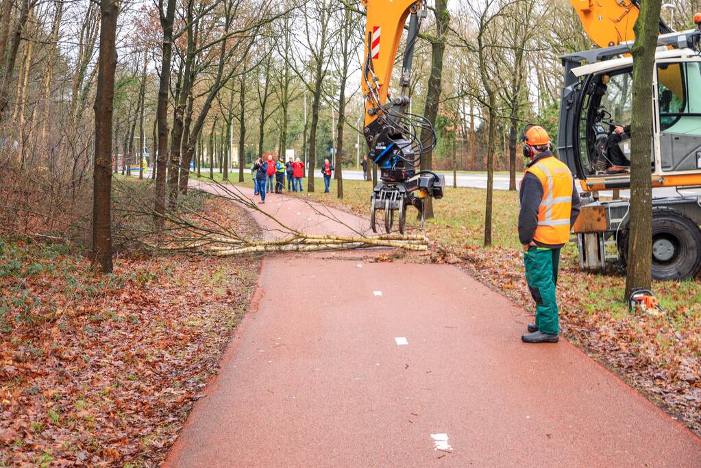 Bomenkap moment van de waarheid
