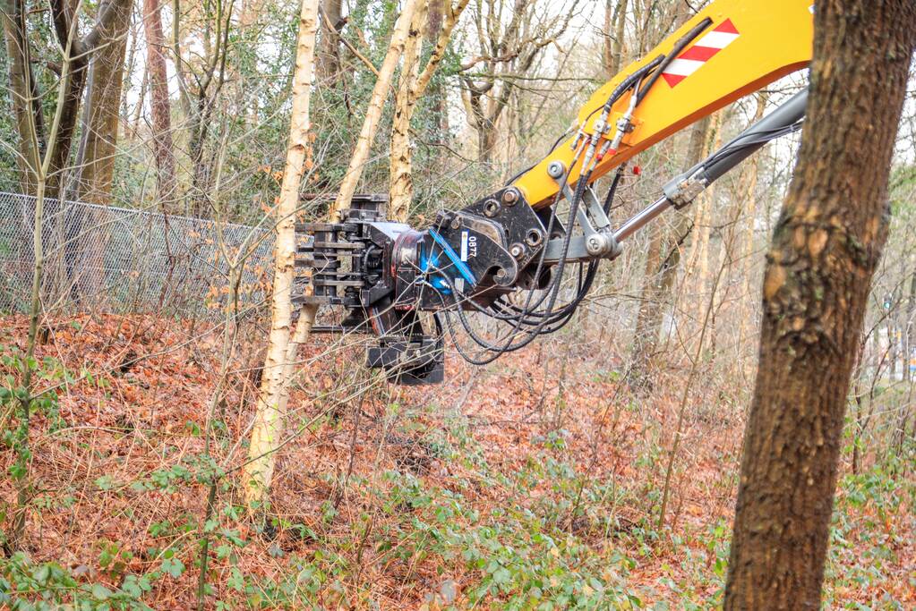 Bomenkap moment van de waarheid