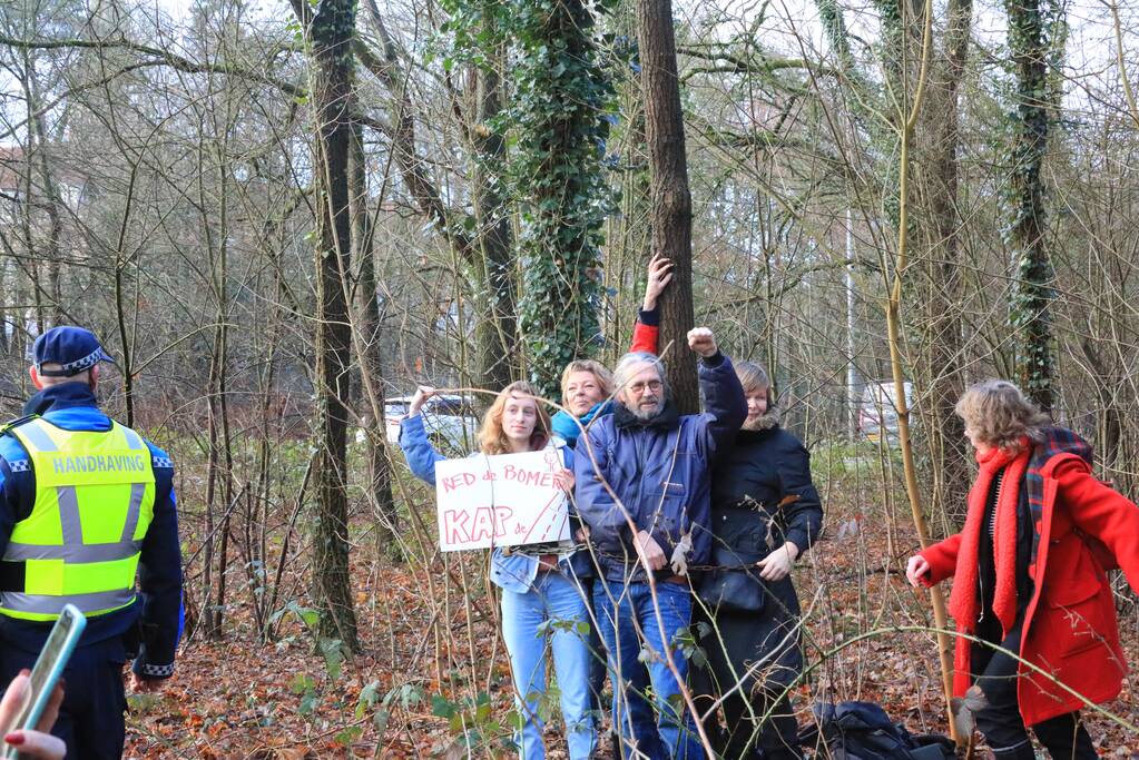 Bomenkap moment van de waarheid