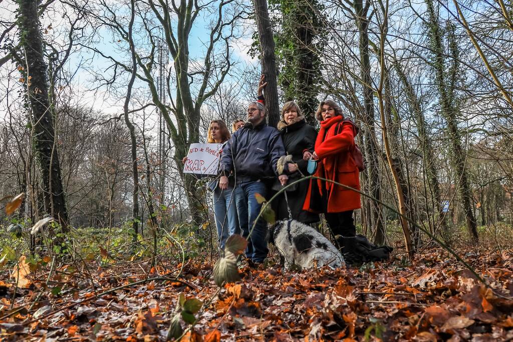 Bomenkap moment van de waarheid