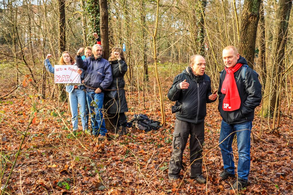 Bomenkap moment van de waarheid