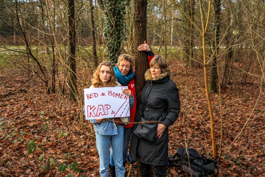 Bomenkap moment van de waarheid