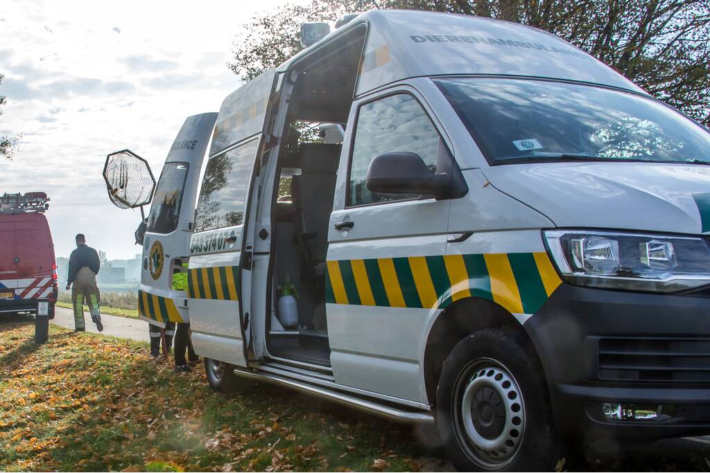 Asiel De Kattenmand stopt met dierenambulances (Nieuw-Lekkerland)