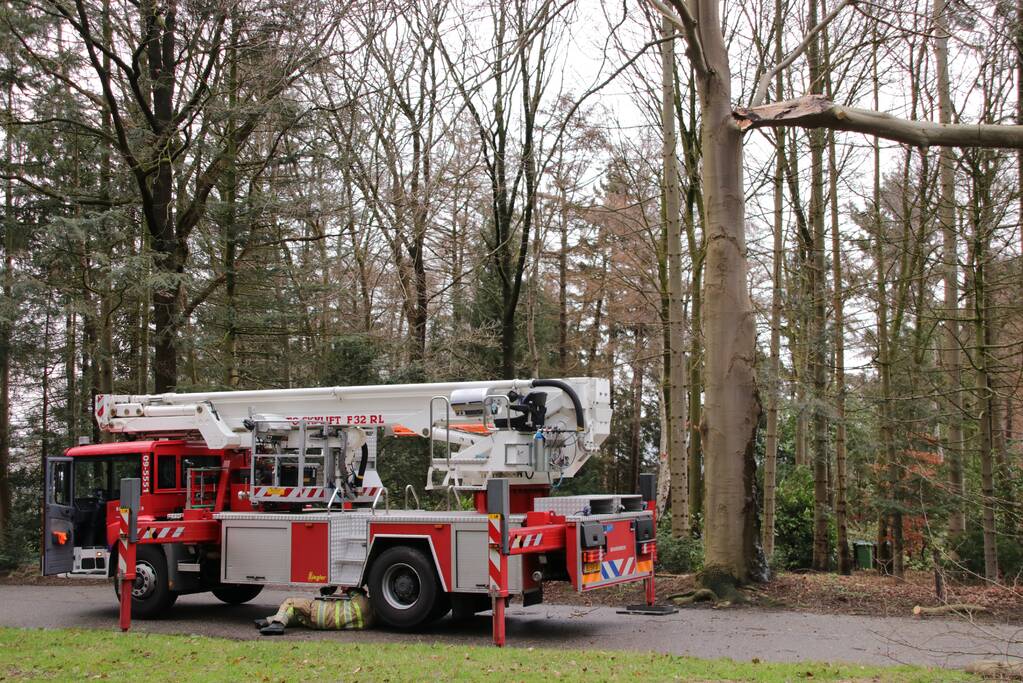 Hoogwerker weigert dienst om een grote boom met schade te vellen