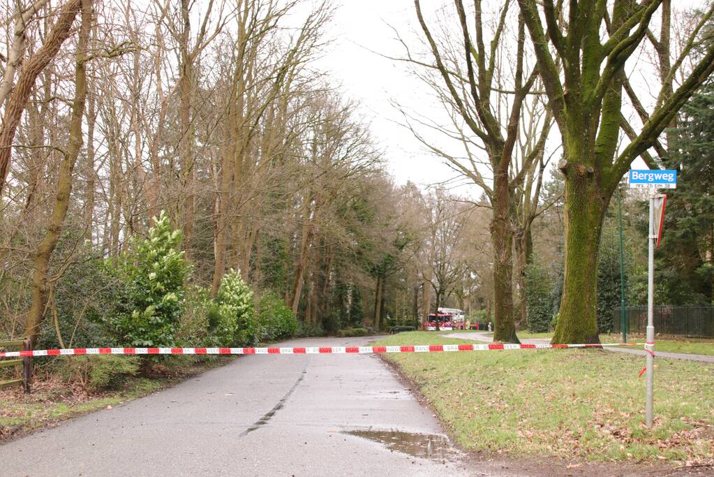 Hoogwerker weigert dienst om een grote boom met schade te vellen