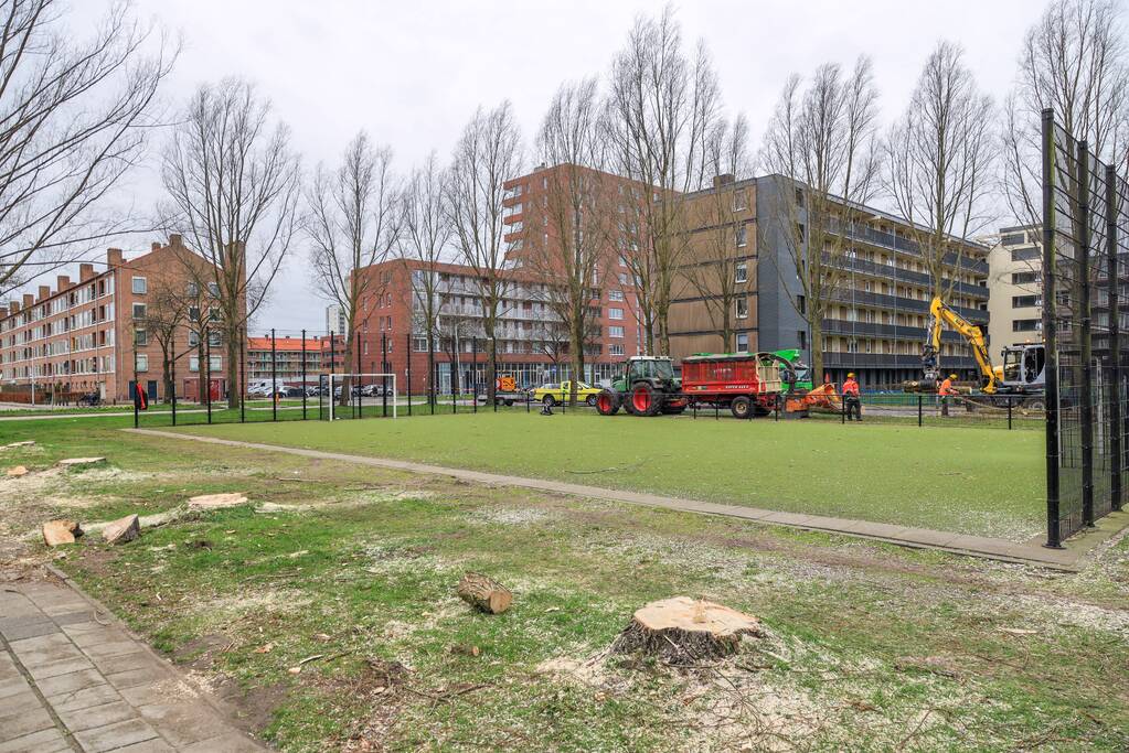 Bomenkap voor nieuwe speel- en ontmoetingsplekken