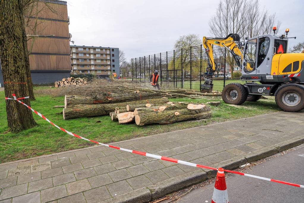 Bomenkap voor nieuwe speel- en ontmoetingsplekken