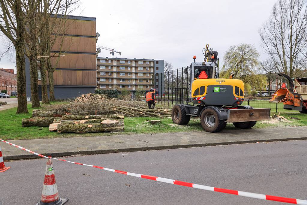 Bomenkap voor nieuwe speel- en ontmoetingsplekken