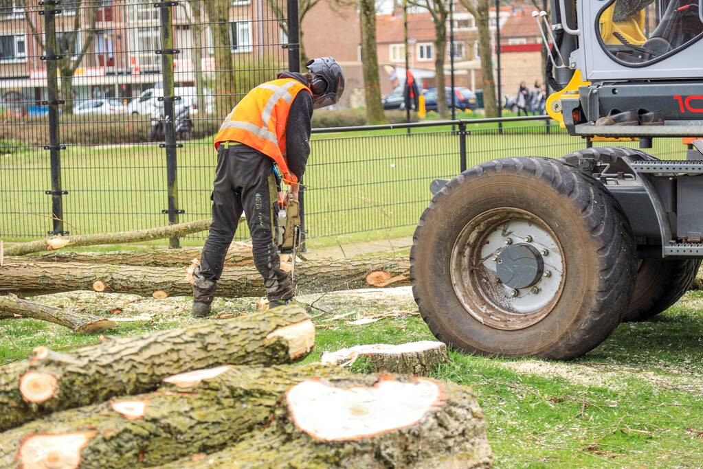 Bomenkap voor nieuwe speel- en ontmoetingsplekken