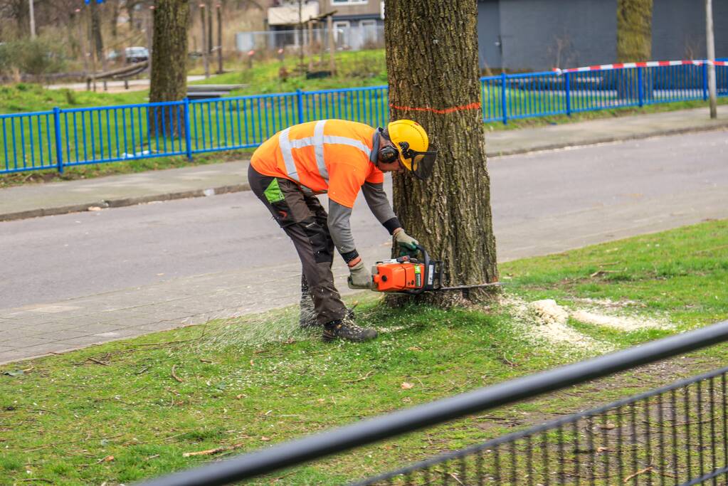 Bomenkap voor nieuwe speel- en ontmoetingsplekken
