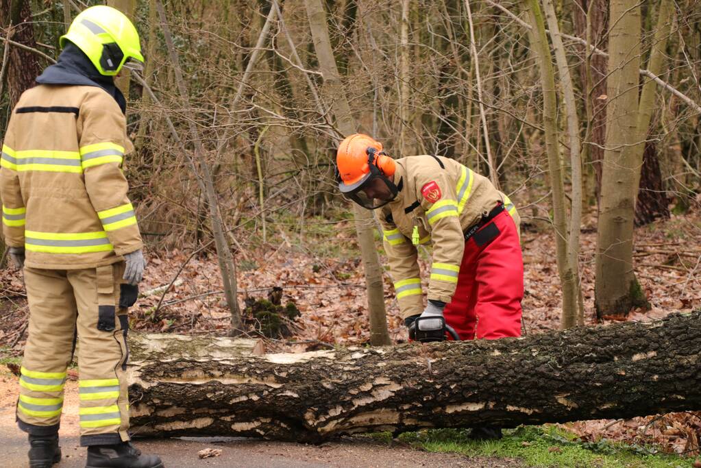 Omgewaaide boom blokkeert weg