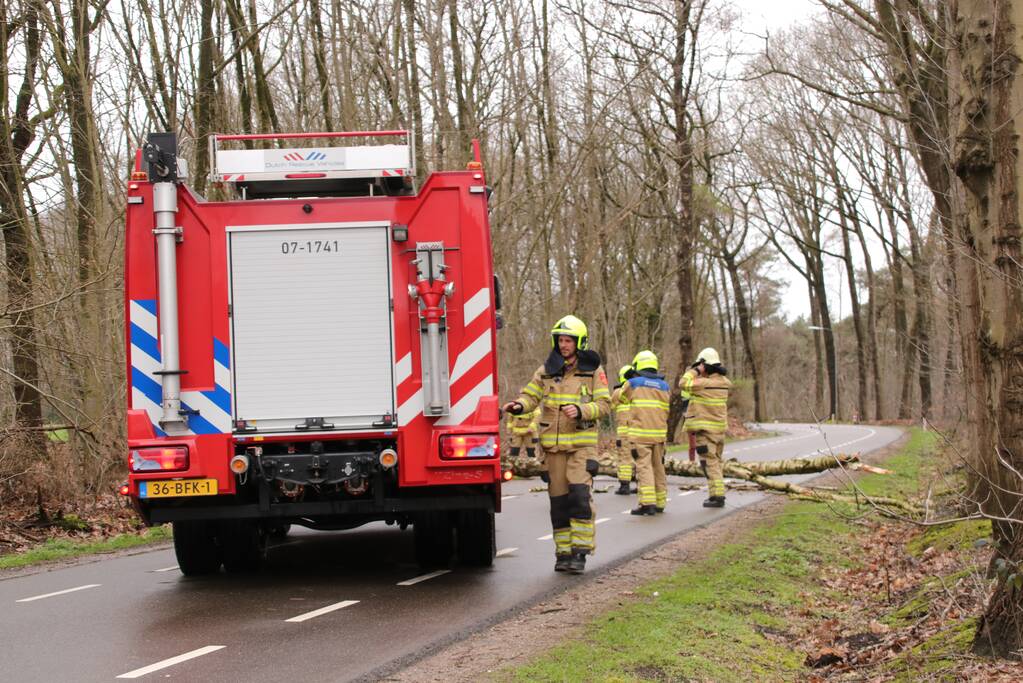 Omgewaaide boom blokkeert weg