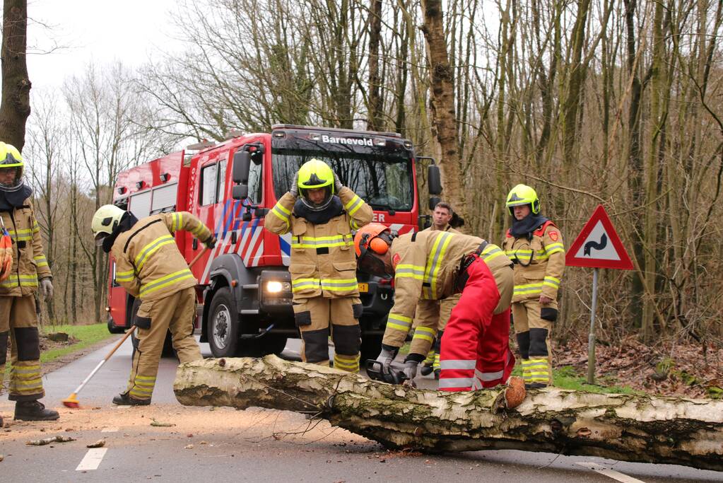 Omgewaaide boom blokkeert weg