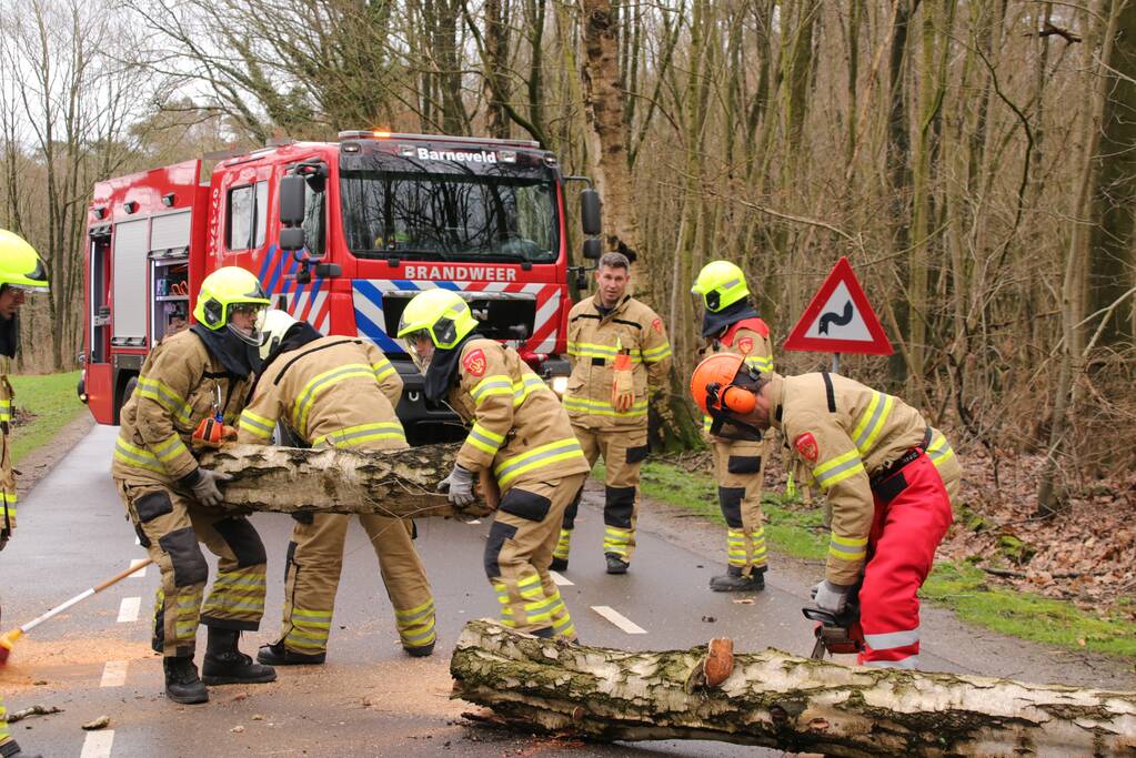 Omgewaaide boom blokkeert weg