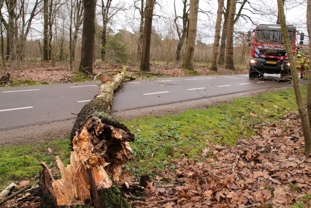Omgewaaide boom blokkeert weg