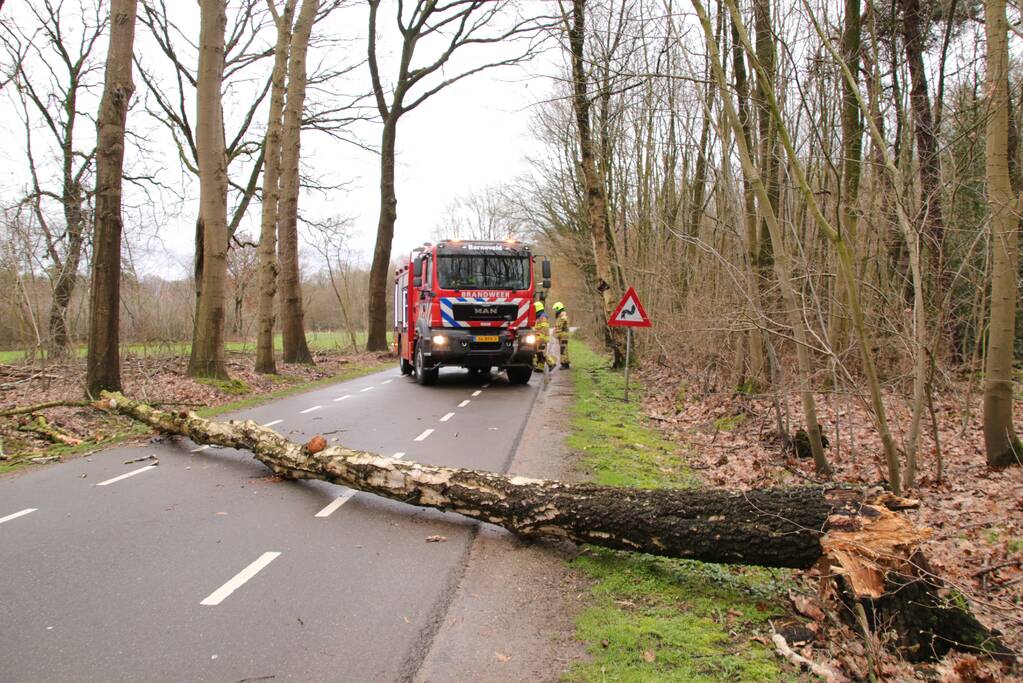 Omgewaaide boom blokkeert weg