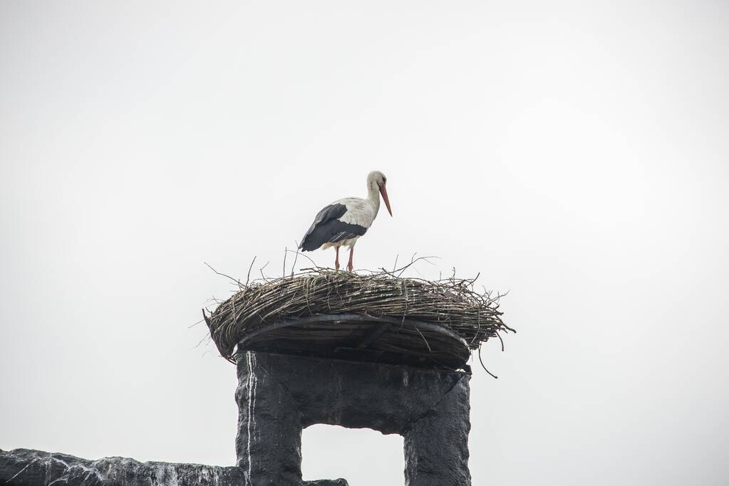 Ooiervaars werken weer aan uitbreiding op kunstwerk Uiverhoeve
