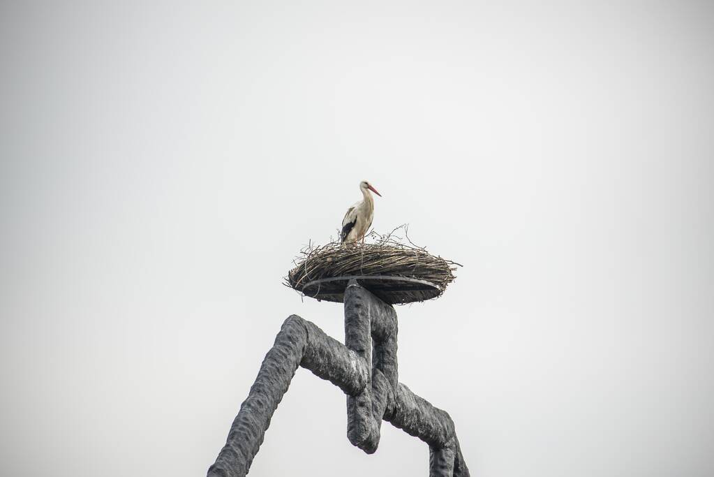 Ooiervaars werken weer aan uitbreiding op kunstwerk Uiverhoeve