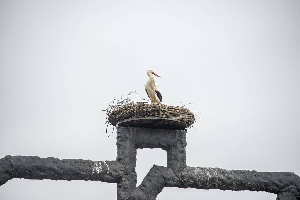 Ooiervaars werken weer aan uitbreiding op kunstwerk Uiverhoeve